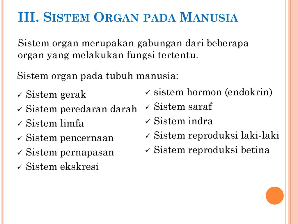 III. Sistem Organ pada Manusia