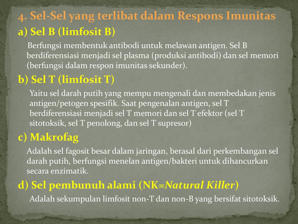 4. Sel-Sel yang terlibat dalam Respons Imunitas