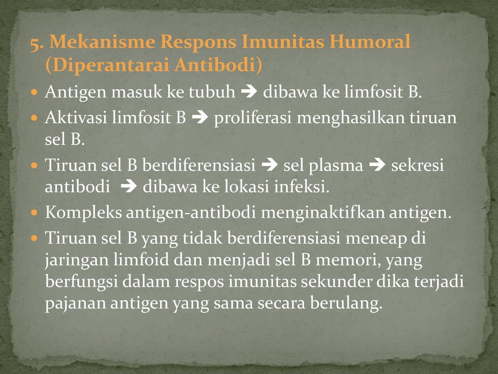 5. Mekanisme Respons Imunitas Humoral (Diperantarai Antibodi)