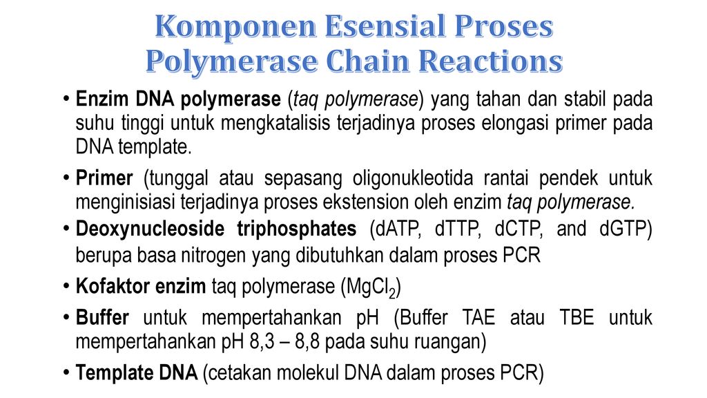 Komponen Esensial Proses Polymerase Chain Reactions