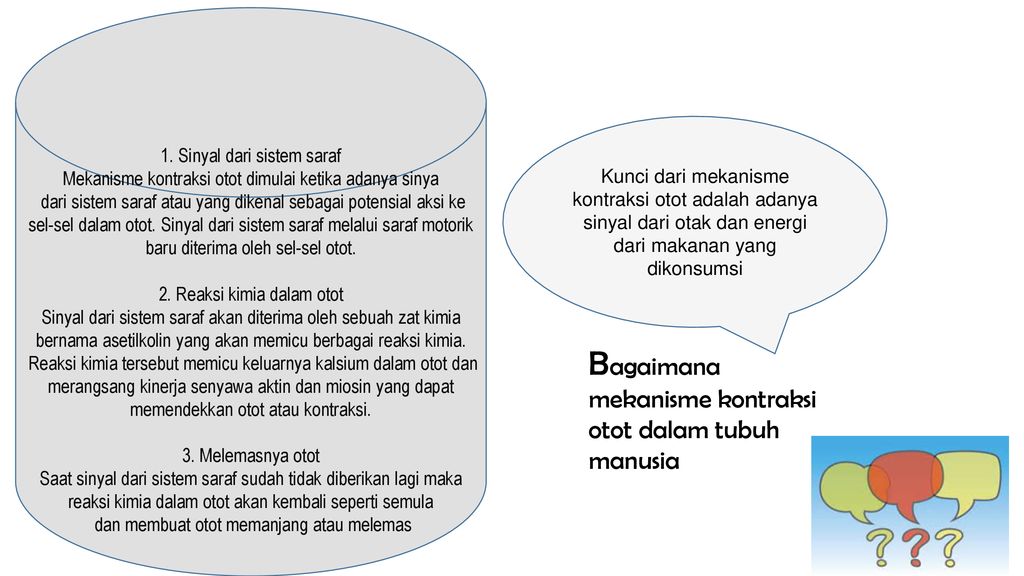 Analisa Kontraksi Otot Ppt Download