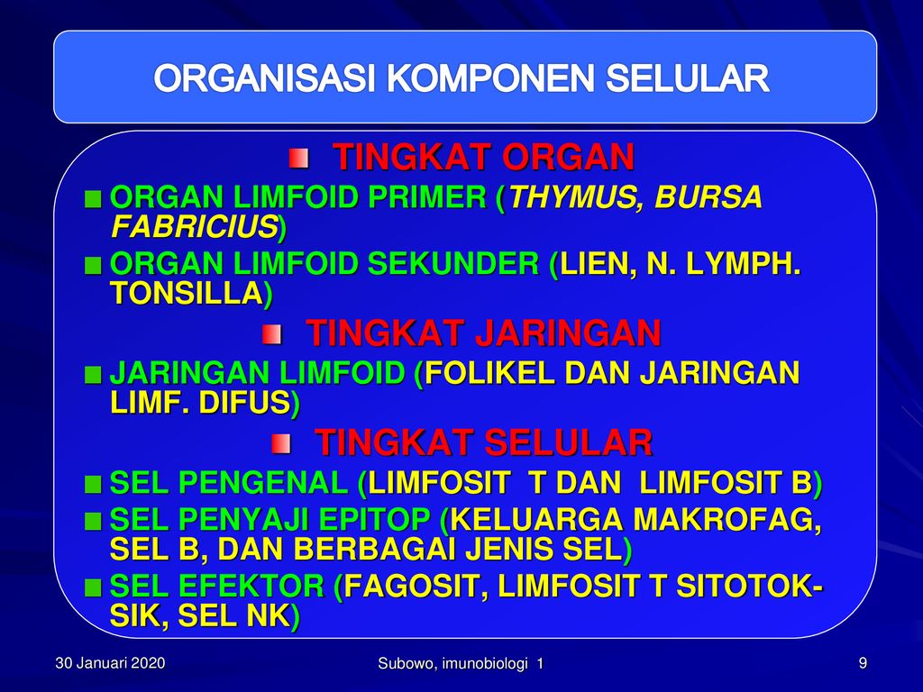 Komponen Selular Sistem Imun Ppt Download