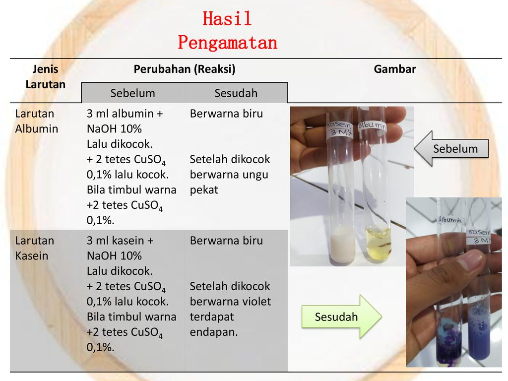 Reaksi Identifikasi Asam Amino Dan Protein Ppt Download