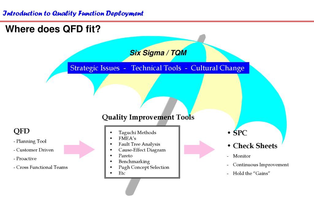 Strategic Issues - Technical Tools - Cultural Change