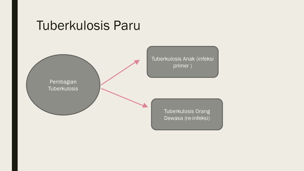 Tuberkulosis Paru Tuberkulosis Anak (infeksi primer )