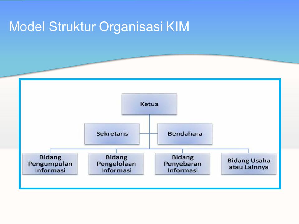 Model Struktur Organisasi KIM