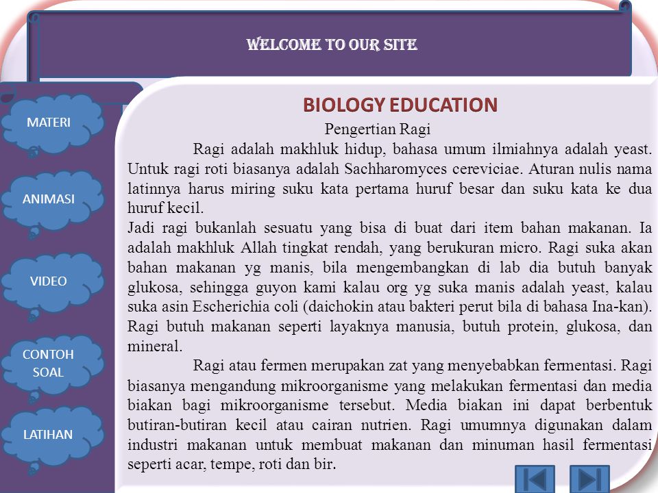 BIOLOGY EDUCATION WELCOME TO OUR SITE Pengertian Ragi