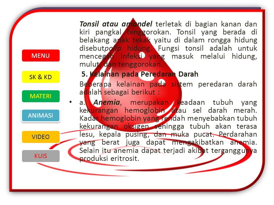 5. Kelainan pada Peredaran Darah