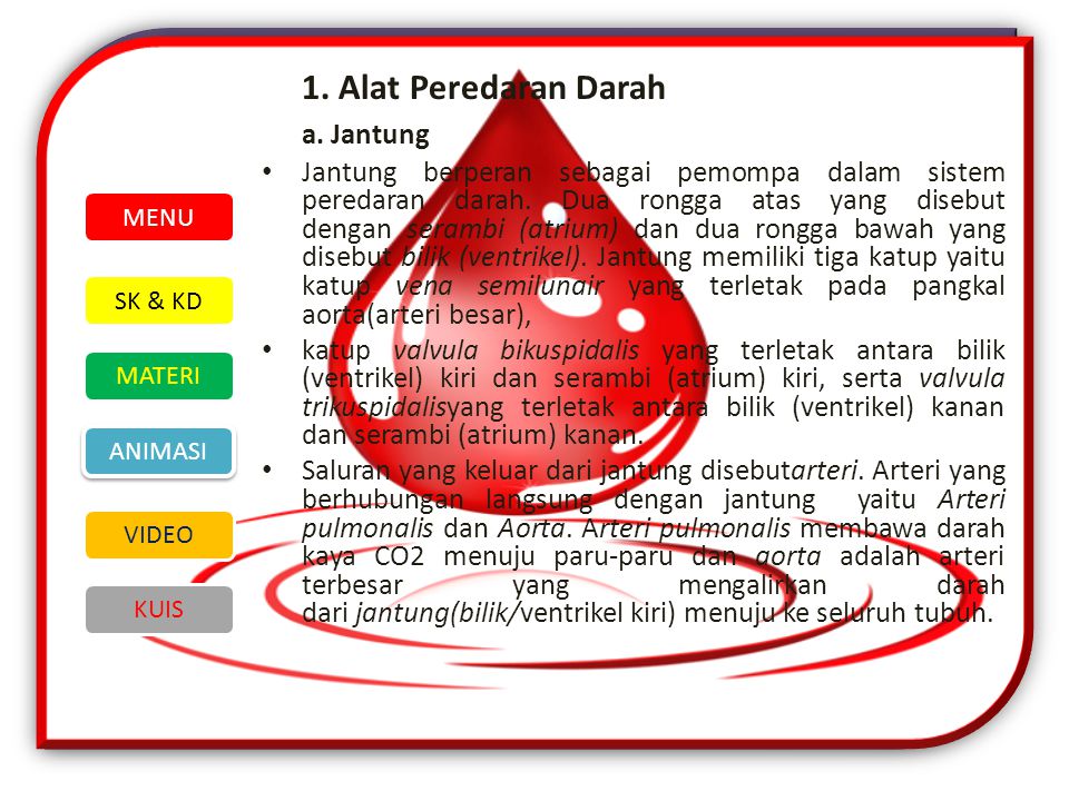 1. Alat Peredaran Darah a. Jantung