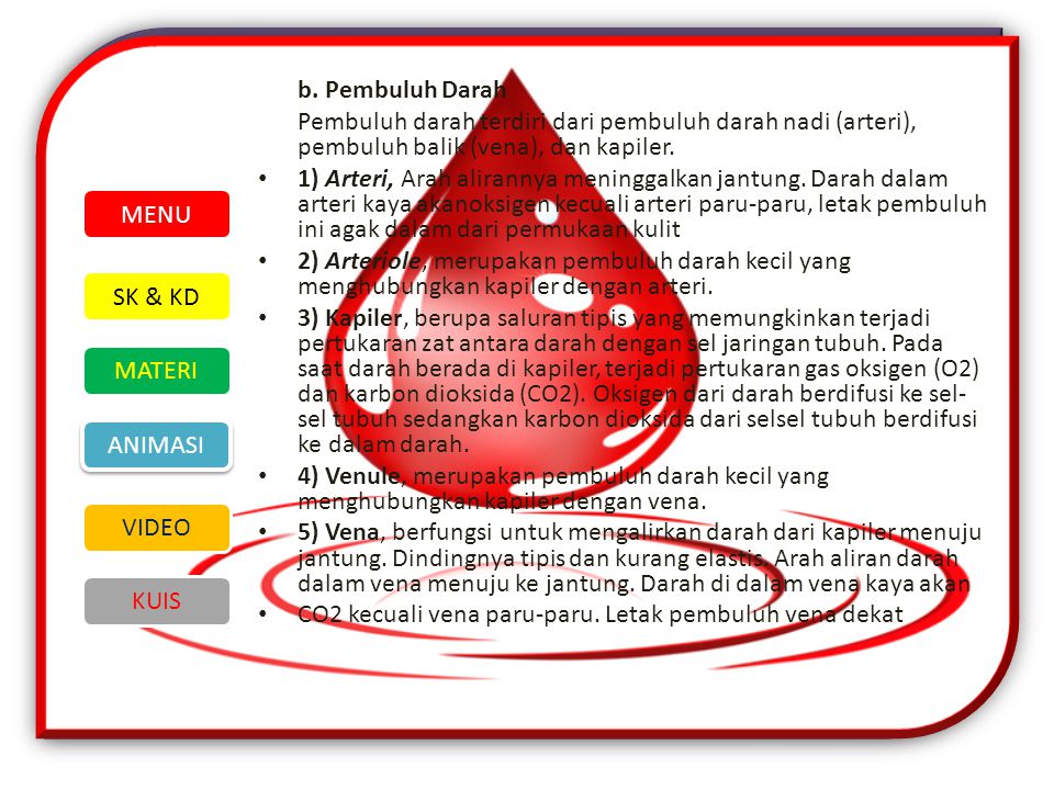 b. Pembuluh Darah Pembuluh darah terdiri dari pembuluh darah nadi (arteri), pembuluh balik (vena), dan kapiler.