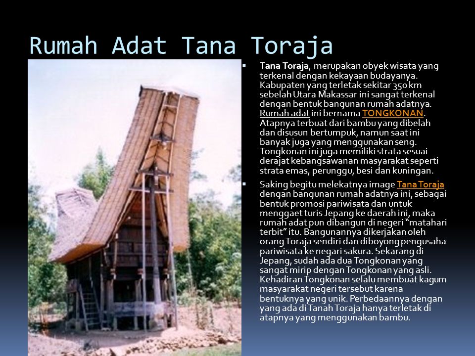 Rumah Adat Tana Toraja