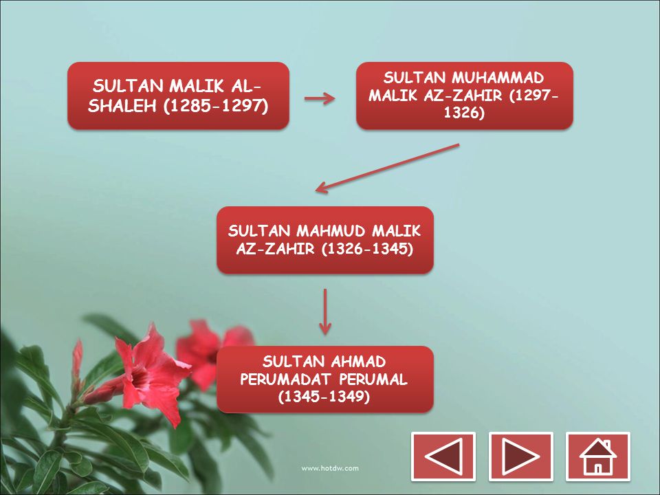 SULTAN MALIK AL-SHALEH ( )