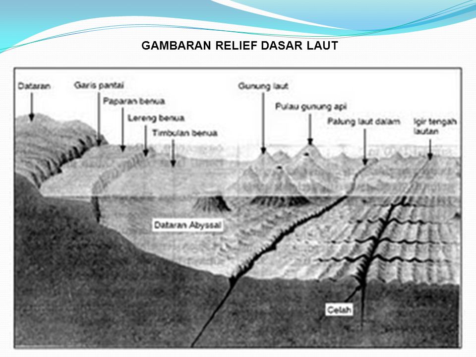 Featured image of post Panduan Lengkap Contoh Gambar Relief Dasar Laut Dan contohnya