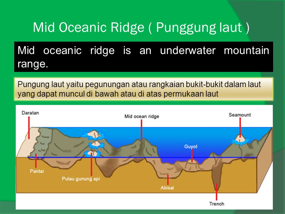 Mid Oceanic Ridge ( Punggung laut )