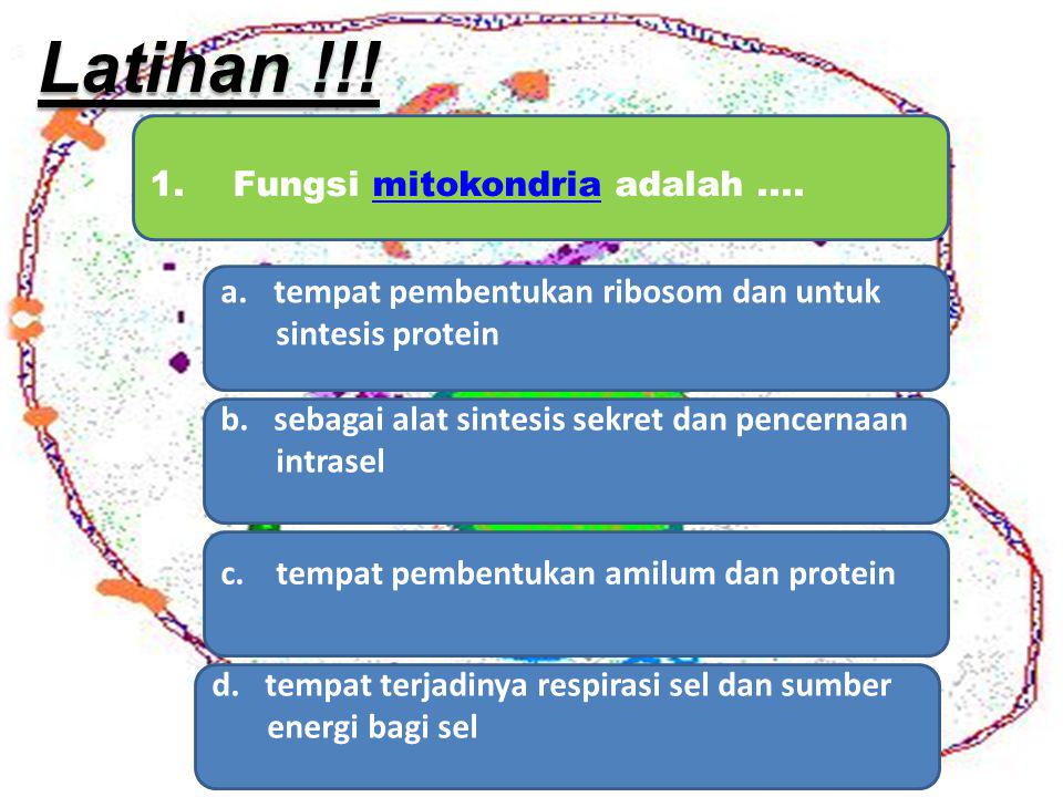 Latihan !!! 1. Fungsi mitokondria adalah ....