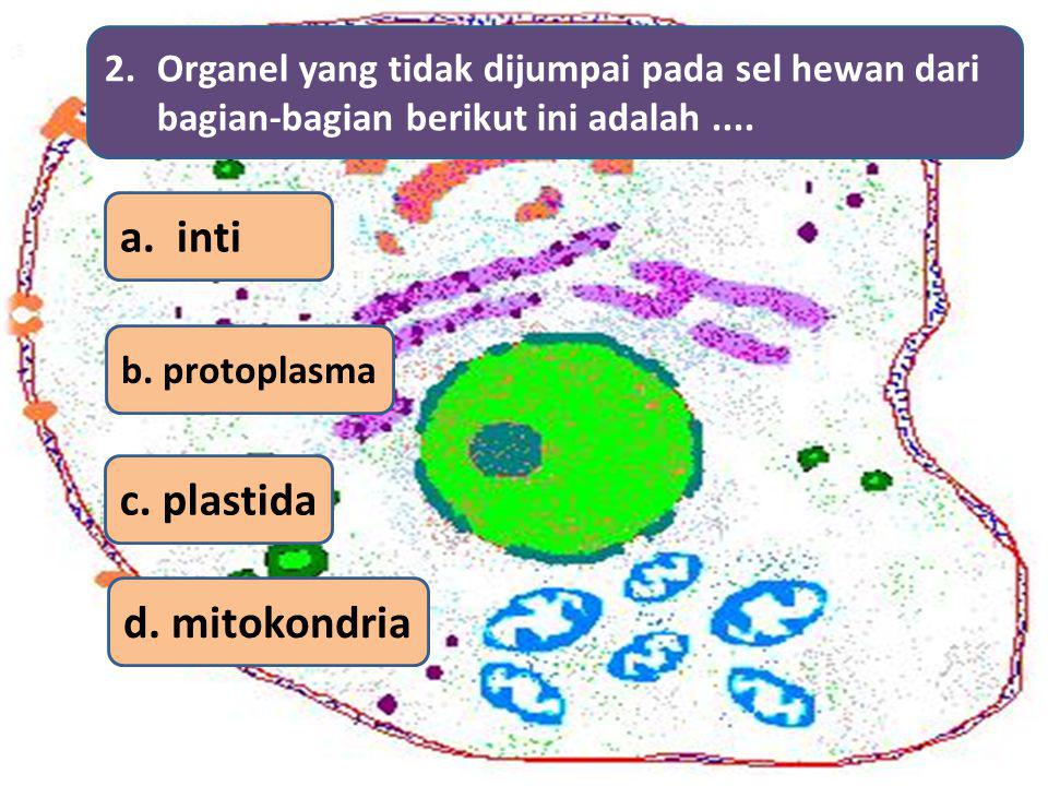 a. inti c. plastida d. mitokondria