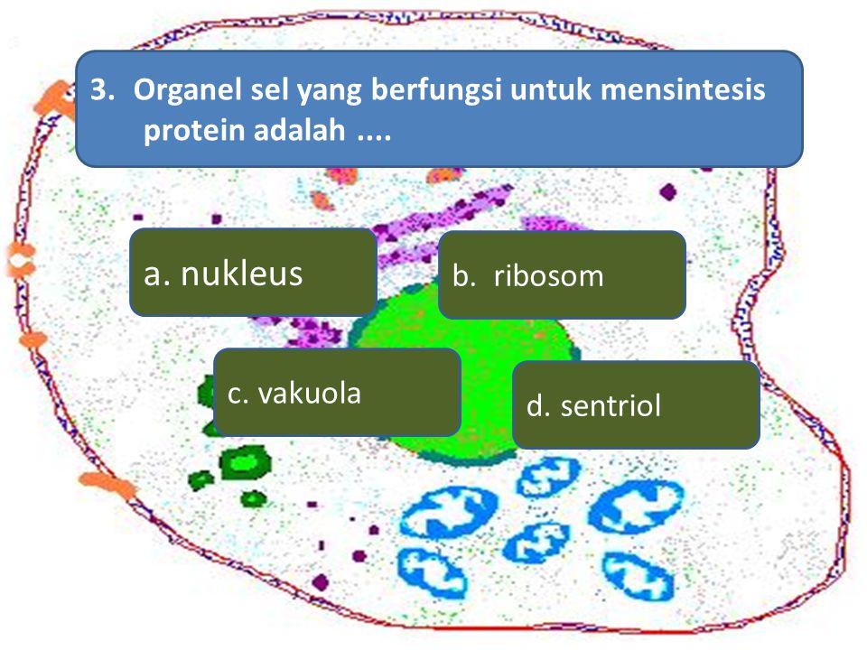 a. nukleus Organel sel yang berfungsi untuk mensintesis