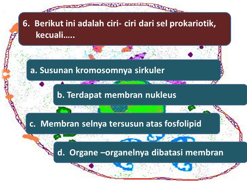 6. Berikut ini adalah ciri- ciri dari sel prokariotik,