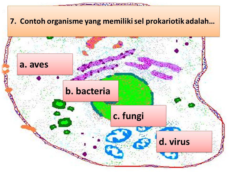 a. aves b. bacteria c. fungi d. virus