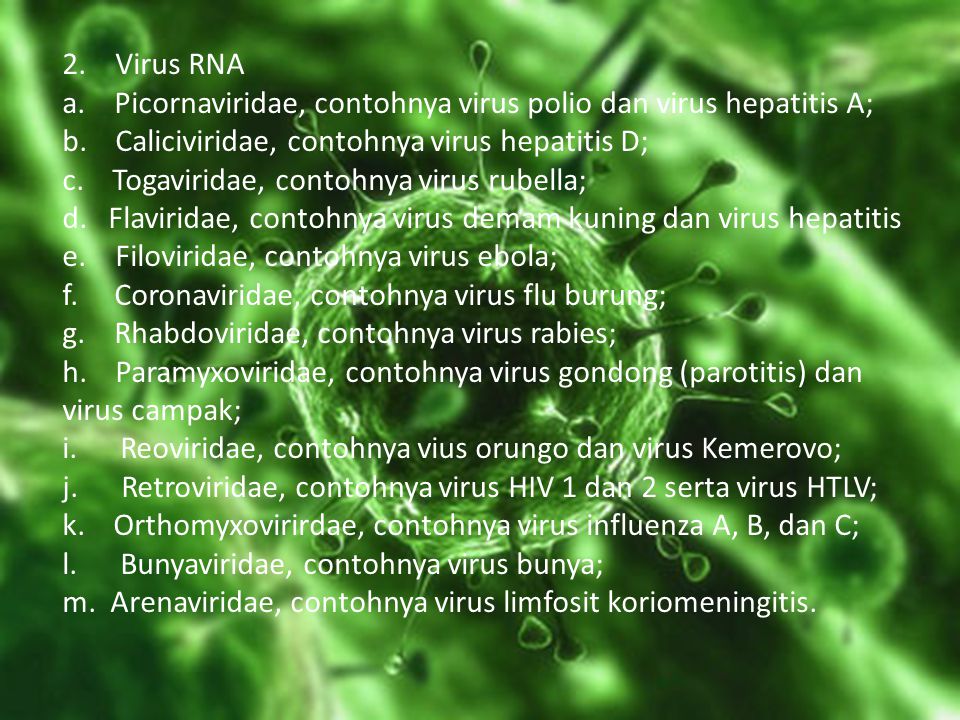 2. Virus RNA a. Picornaviridae, contohnya virus polio dan virus hepatitis A; b. Caliciviridae, contohnya virus hepatitis D; c. Togaviridae, contohnya virus rubella; d. Flaviridae, contohnya virus demam kuning dan virus hepatitis e. Filoviridae, contohnya virus ebola; f. Coronaviridae, contohnya virus flu burung; g. Rhabdoviridae, contohnya virus rabies; h. Paramyxoviridae, contohnya virus gondong (parotitis) dan virus campak; i. Reoviridae, contohnya vius orungo dan virus Kemerovo; j. Retroviridae, contohnya virus HIV 1 dan 2 serta virus HTLV; k. Orthomyxovirirdae, contohnya virus influenza A, B, dan C; l. Bunyaviridae, contohnya virus bunya; m. Arenaviridae, contohnya virus limfosit koriomeningitis.