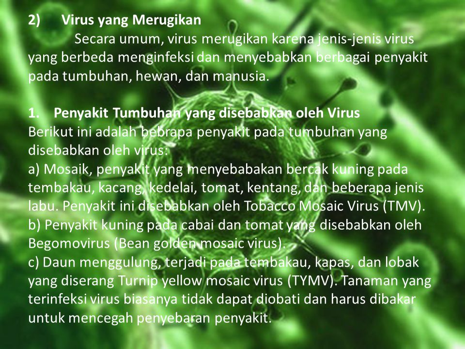 2) Virus yang Merugikan Secara umum, virus merugikan karena jenis-jenis virus yang berbeda menginfeksi dan menyebabkan berbagai penyakit pada tumbuhan, hewan, dan manusia.