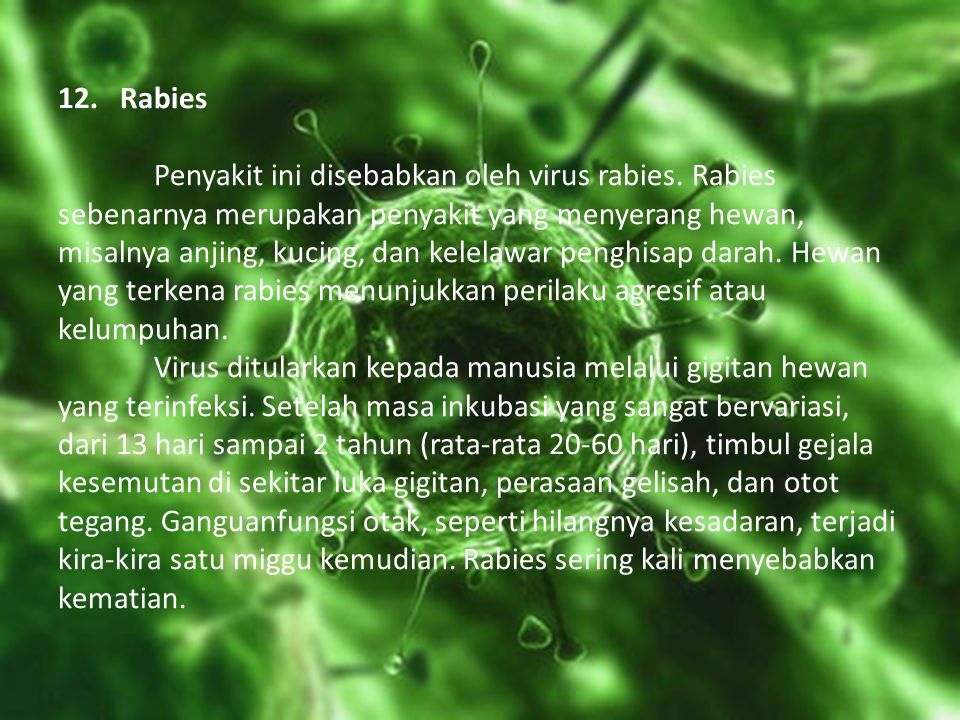 12. Rabies. Penyakit ini disebabkan oleh virus rabies