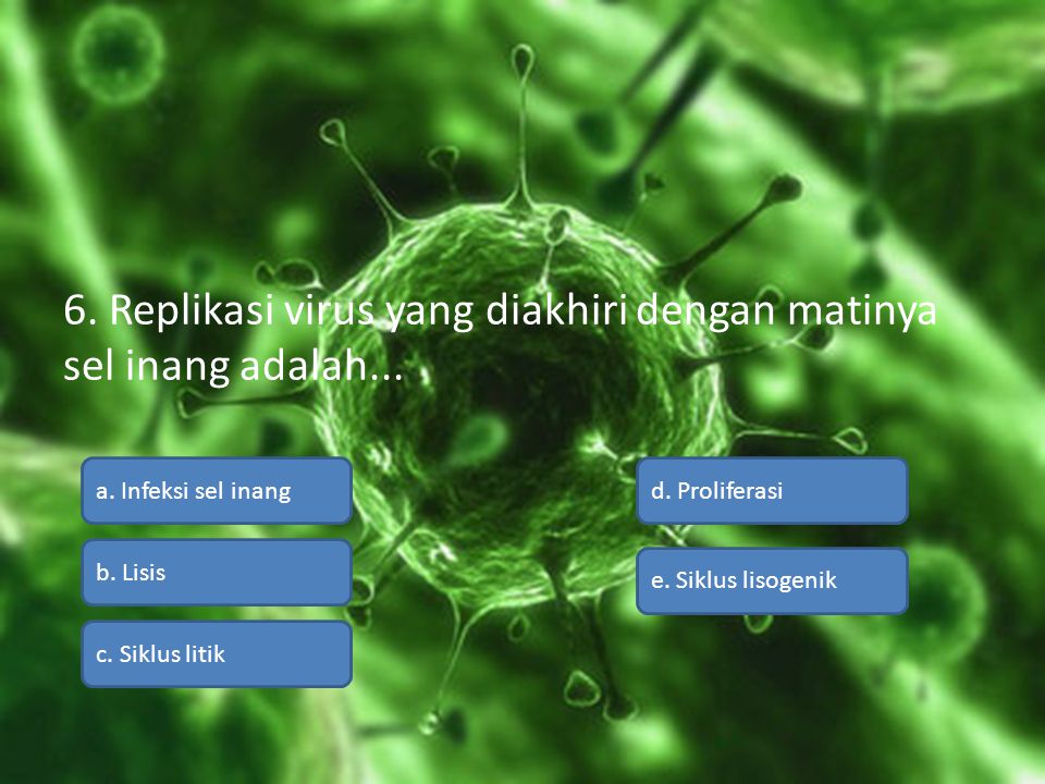6. Replikasi virus yang diakhiri dengan matinya sel inang adalah...