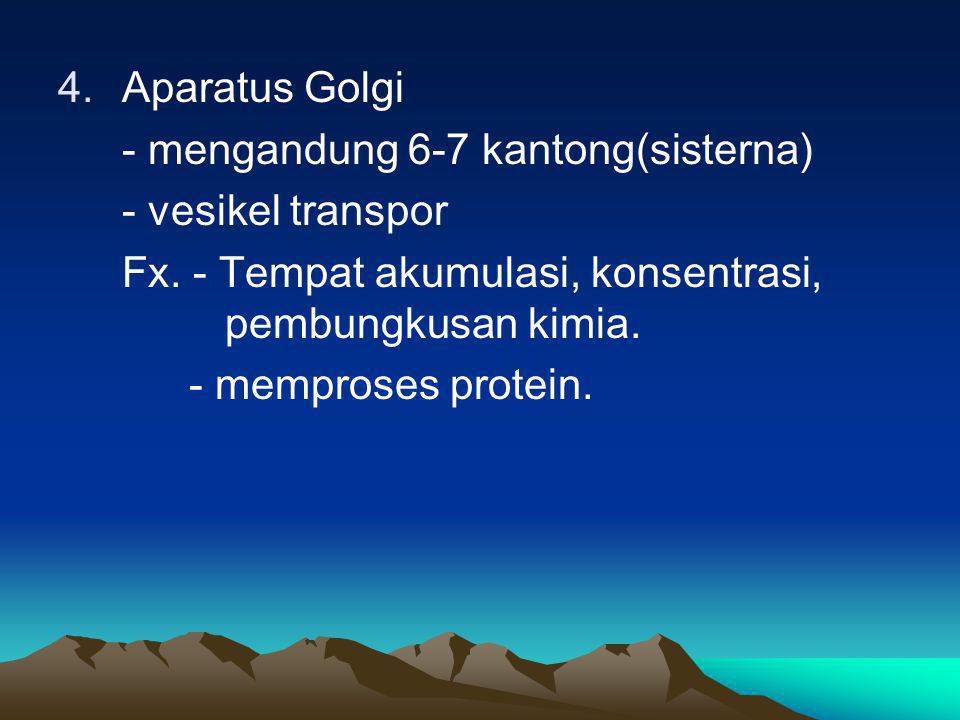 Aparatus Golgi - mengandung 6-7 kantong(sisterna) - vesikel transpor. Fx. - Tempat akumulasi, konsentrasi, pembungkusan kimia.