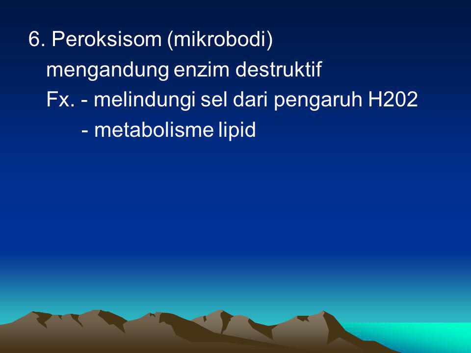 6. Peroksisom (mikrobodi)
