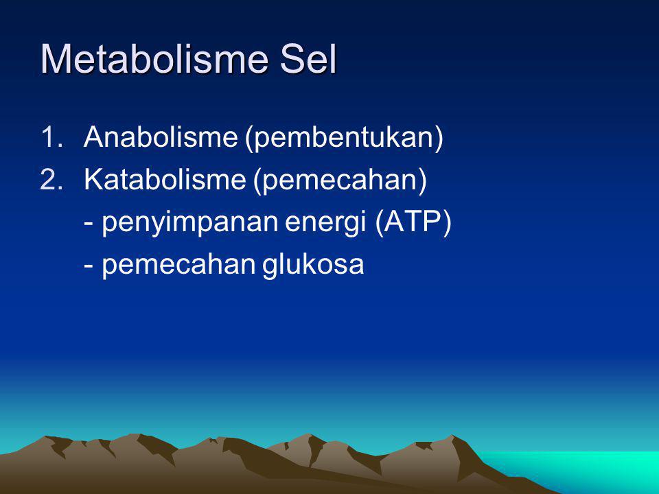 Metabolisme Sel Anabolisme (pembentukan) Katabolisme (pemecahan)