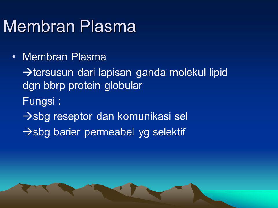 Membran Plasma Membran Plasma