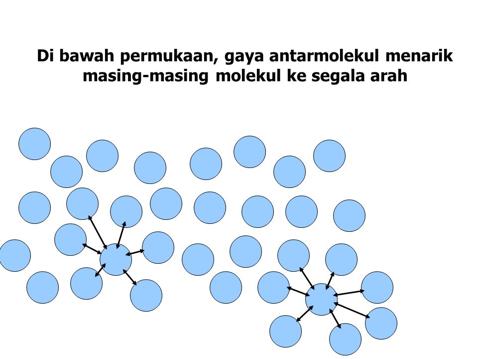 Di bawah permukaan, gaya antarmolekul menarik masing-masing molekul ke segala arah