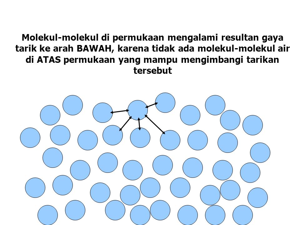 Molekul-molekul di permukaan mengalami resultan gaya tarik ke arah BAWAH, karena tidak ada molekul-molekul air di ATAS permukaan yang mampu mengimbangi tarikan tersebut