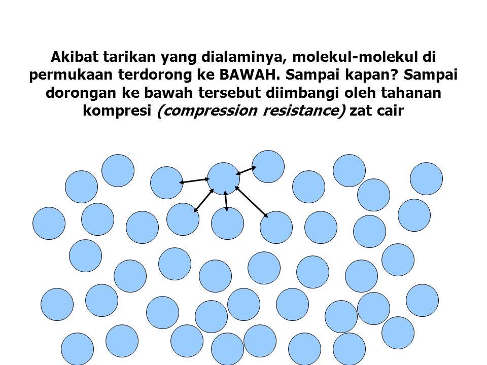 Akibat tarikan yang dialaminya, molekul-molekul di permukaan terdorong ke BAWAH.