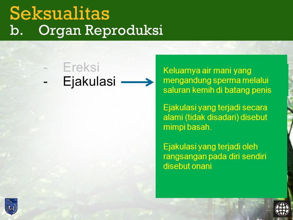 Seksualitas b. Organ Reproduksi