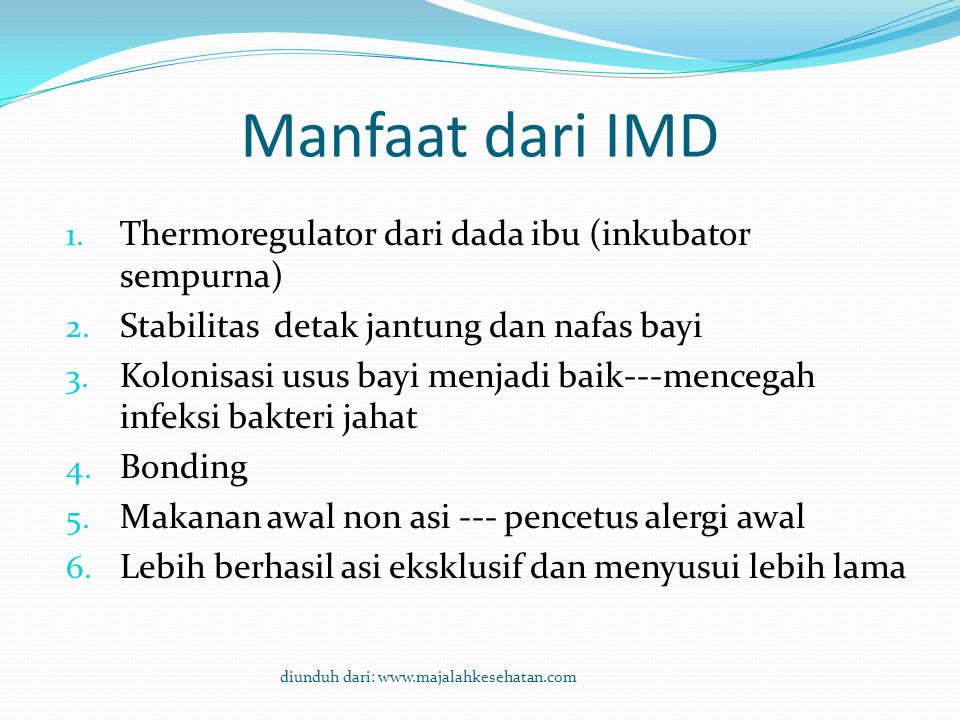 Manfaat dari IMD Thermoregulator dari dada ibu (inkubator sempurna)