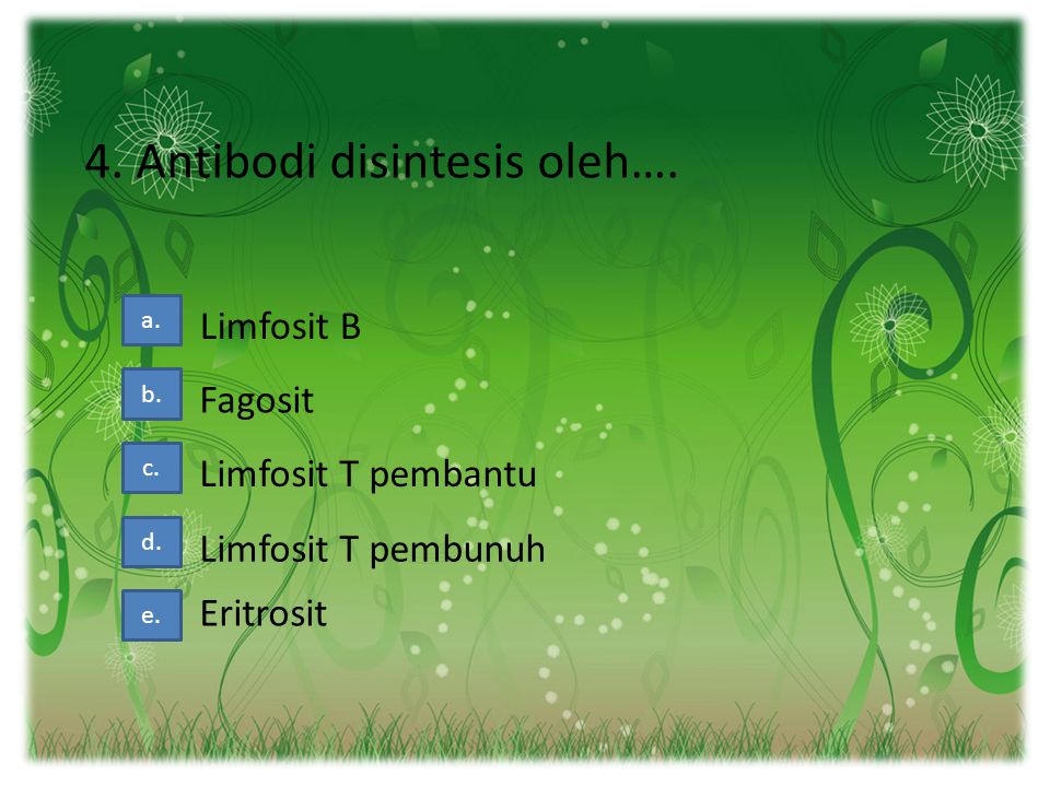 4. Antibodi disintesis oleh….