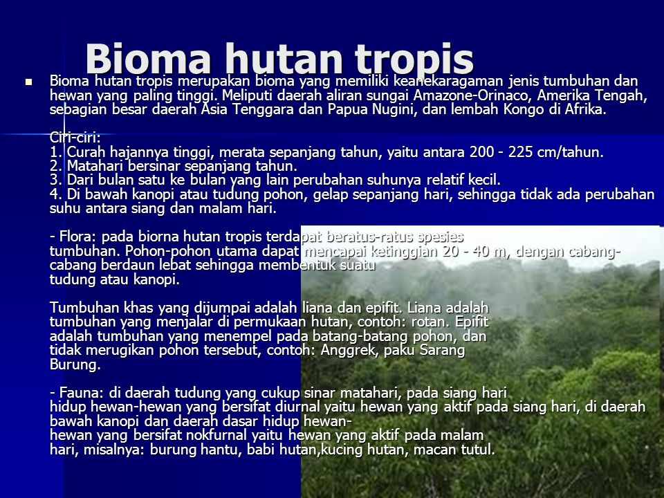 Bioma hutan tropis