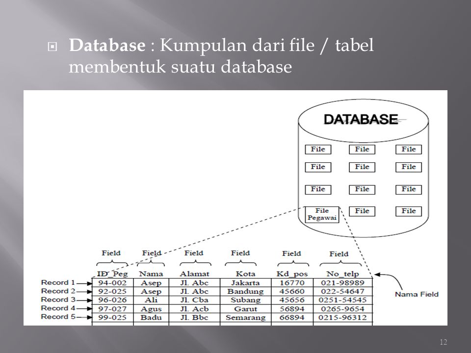 Database : Kumpulan dari file / tabel membentuk suatu database