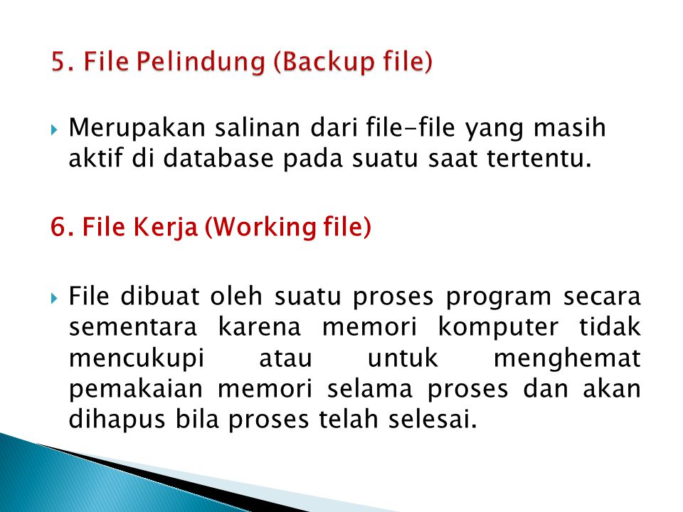 5. File Pelindung (Backup file)