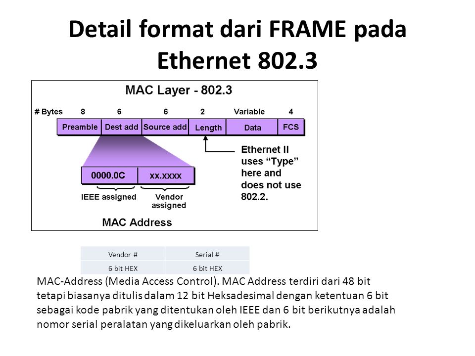 Detail format dari FRAME pada Ethernet 802.3