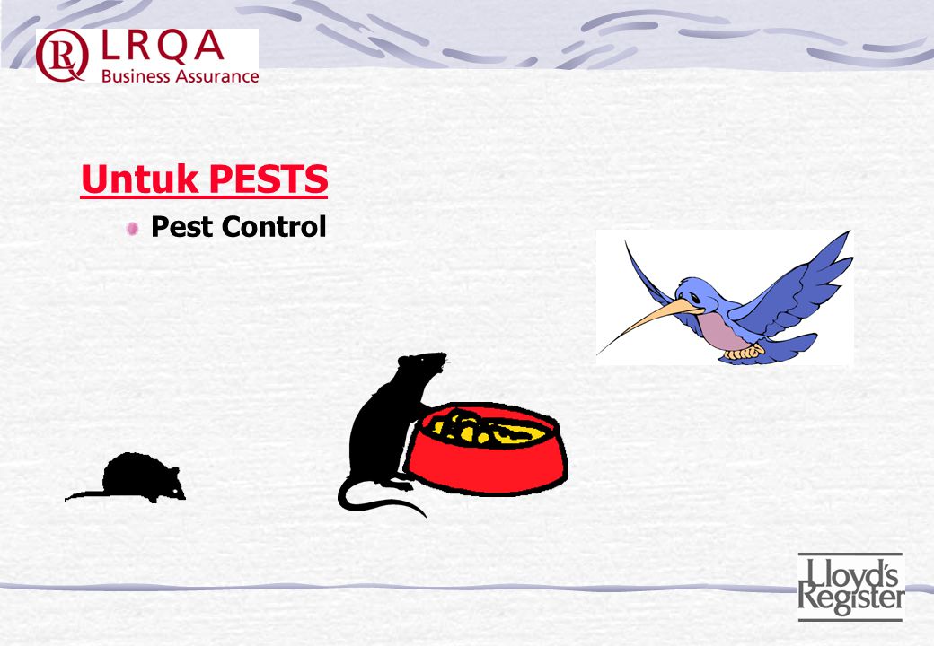 Untuk PESTS Pest Control