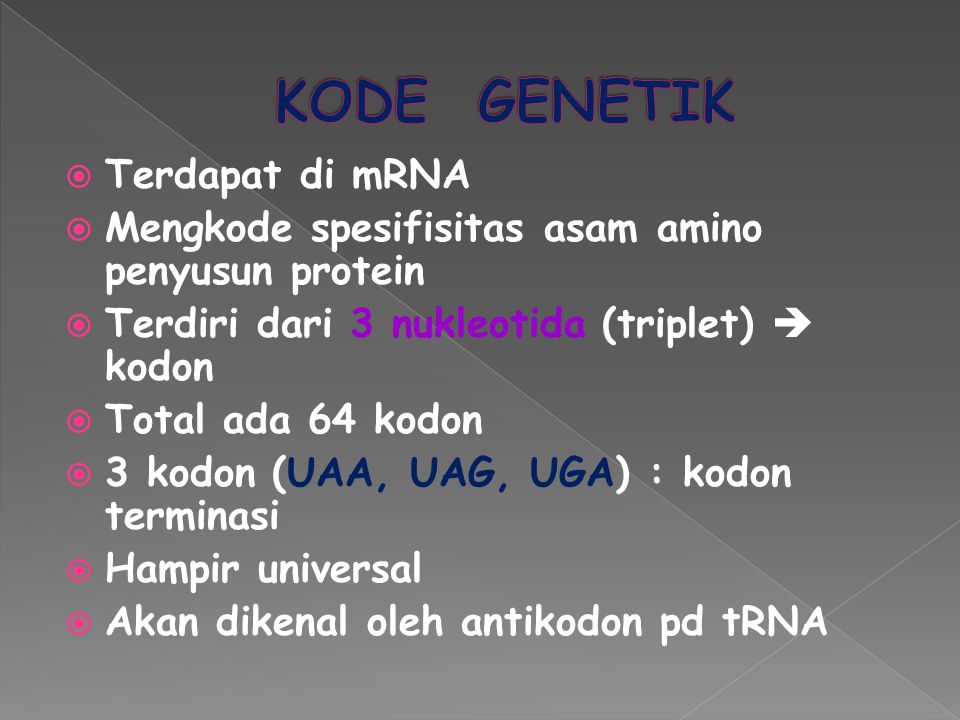 KODE GENETIK Terdapat di mRNA