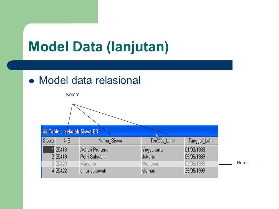 Model Data (lanjutan) Model data relasional Kolom Baris