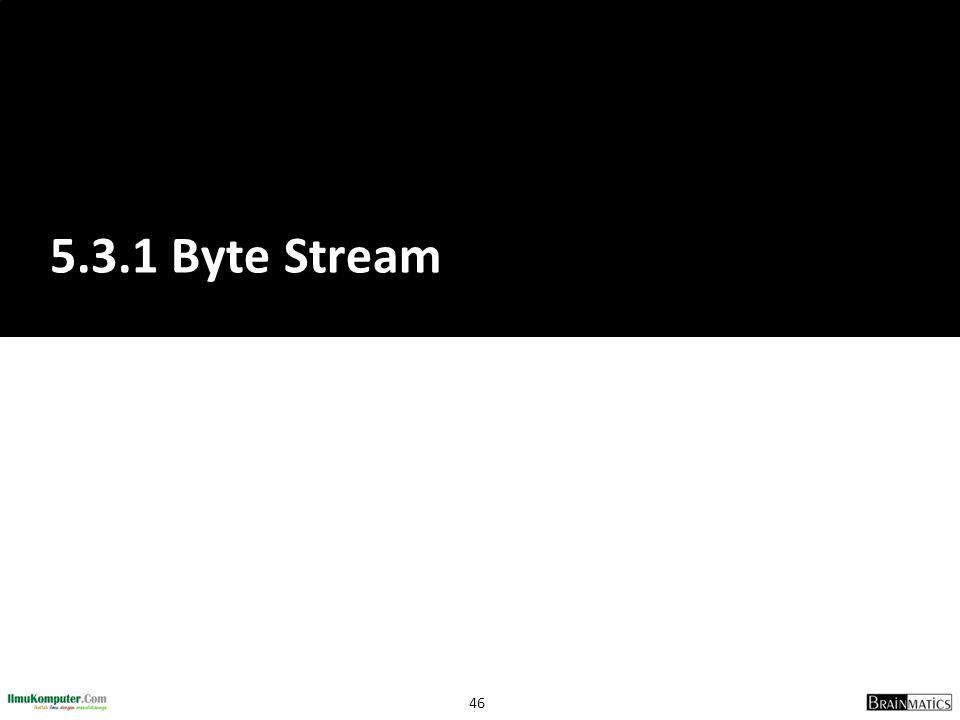 5.3.1 Byte Stream