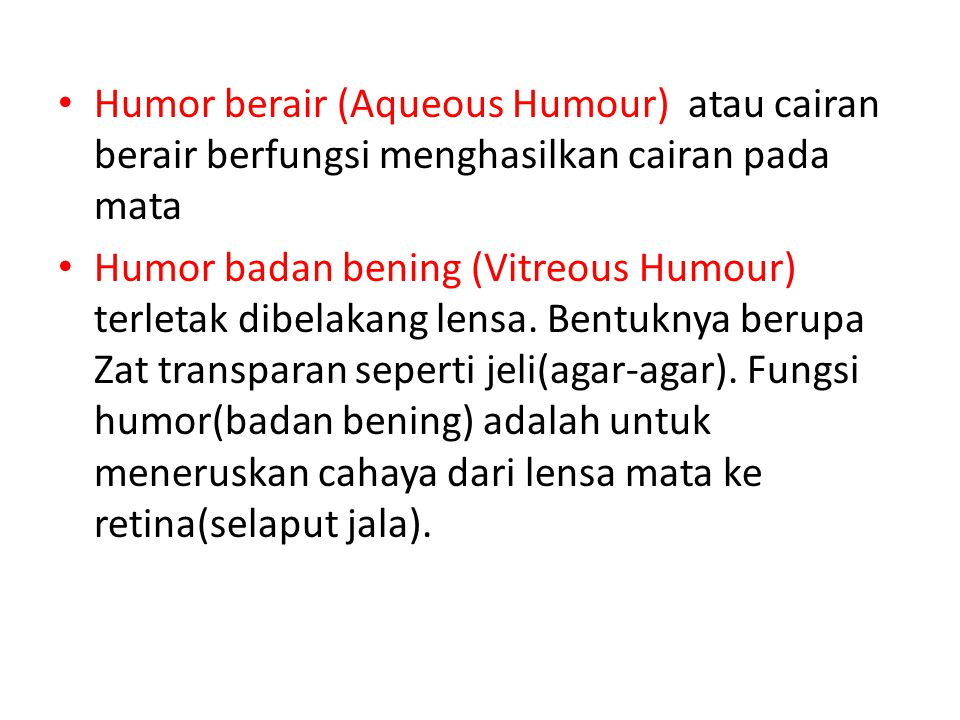 Humor berair (Aqueous Humour) atau cairan berair berfungsi menghasilkan cairan pada mata