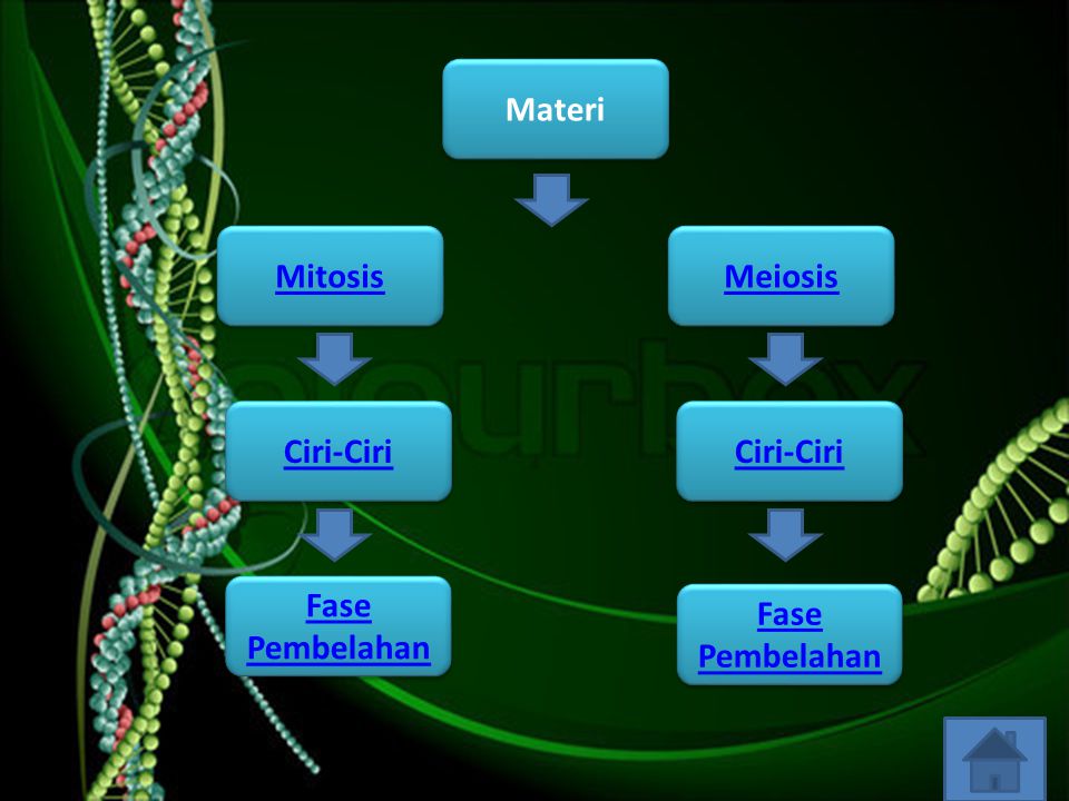 Materi Mitosis Meiosis Ciri-Ciri Ciri-Ciri Fase Pembelahan Fase Pembelahan