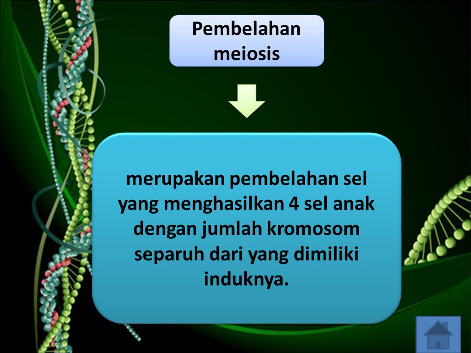 Pembelahan meiosis merupakan pembelahan sel yang menghasilkan 4 sel anak dengan jumlah kromosom separuh dari yang dimiliki induknya.