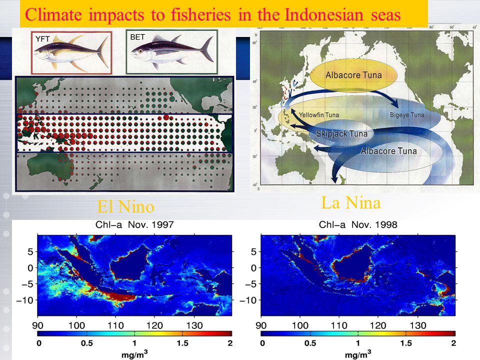 Climate impacts to fisheries in the Indonesian seas