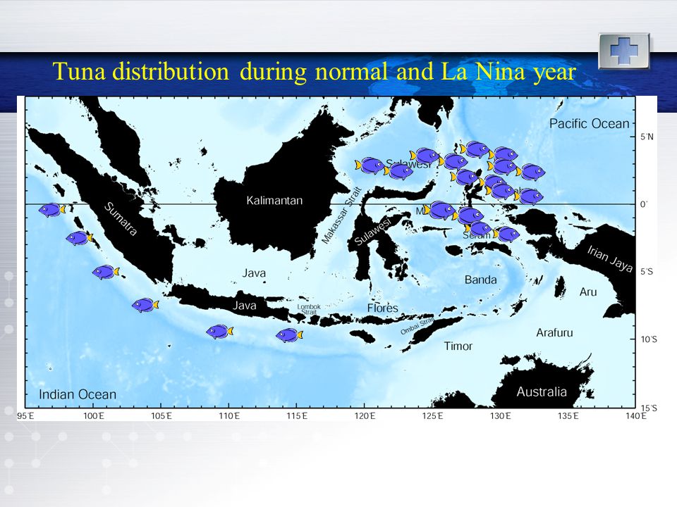 Tuna distribution during normal and La Nina year